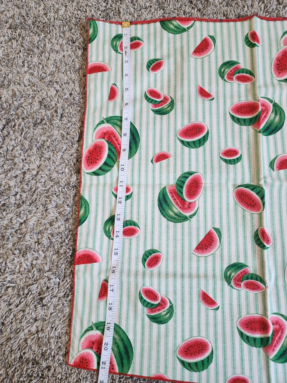 Watermelon Cloth Napkins Set of 4 Reversible Summer 20x20